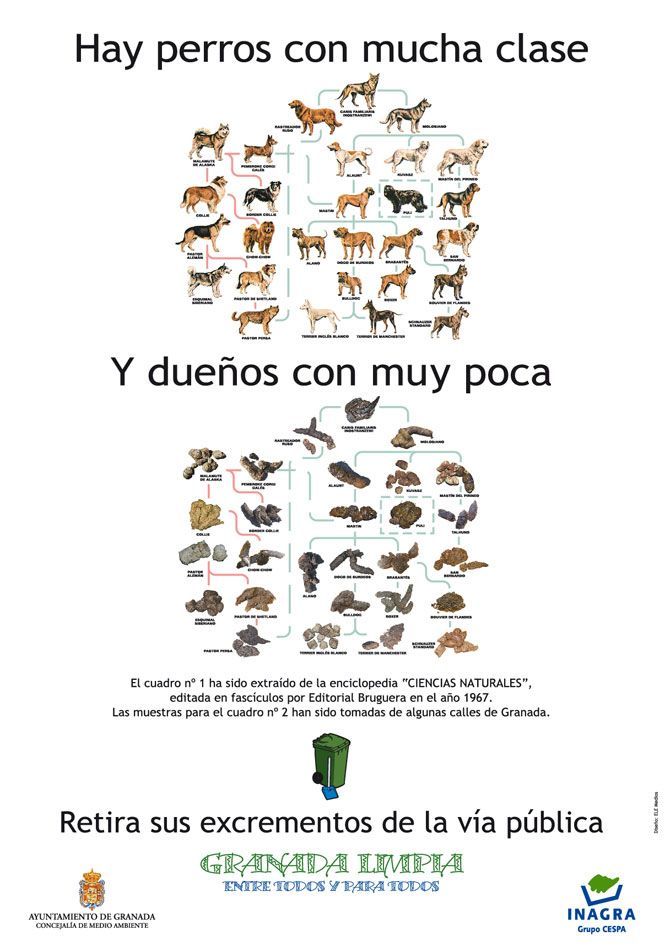 excrementos-de-perro